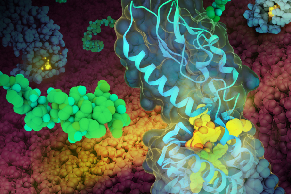 ED-PDB-600x400